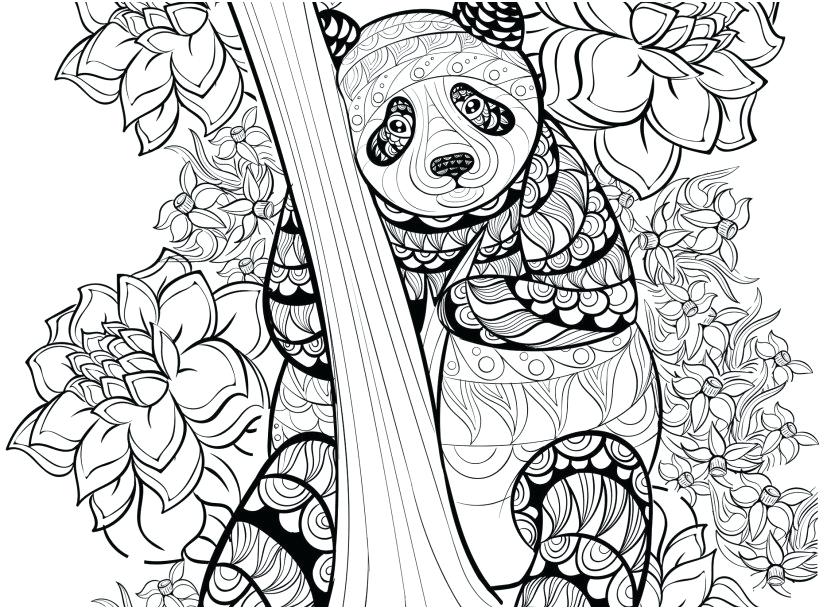 827x609 Panda Coloring Page Panda Coloring Pages Lung Drawing Panda