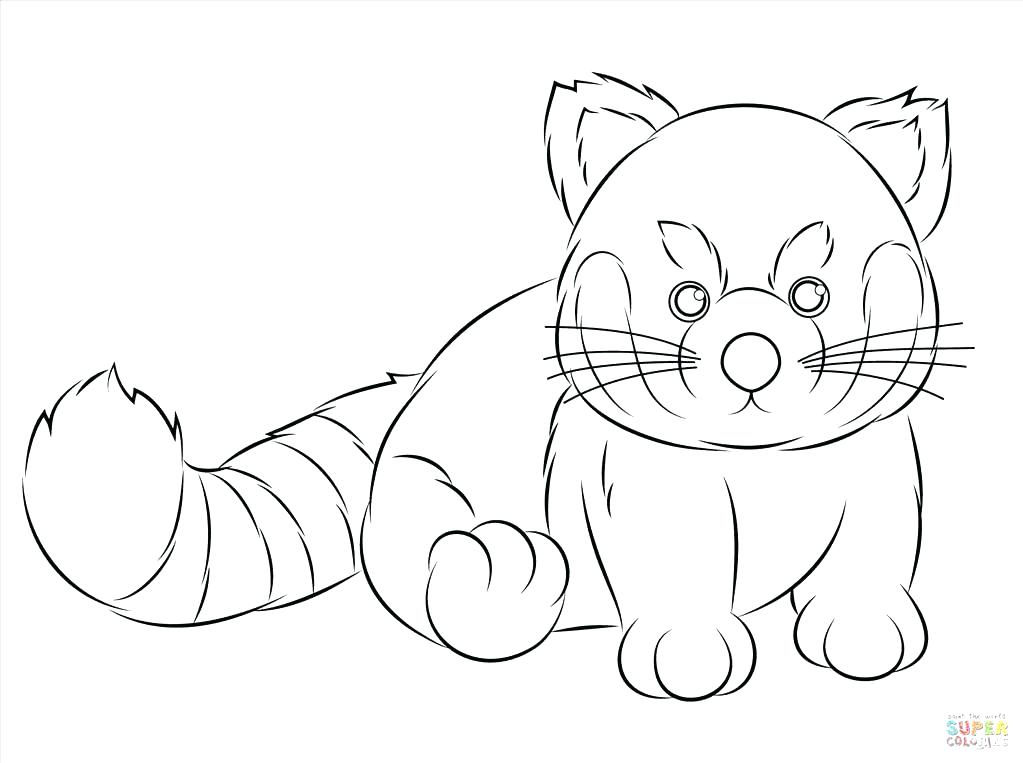 1023x763 Panda Coloring Pages For Adults Red Panda Coloring Pages Great Red