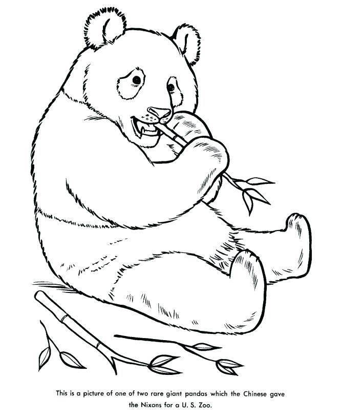 670x820 Panda Coloring Pages Giant Panda Coloring Page Giant Panda
