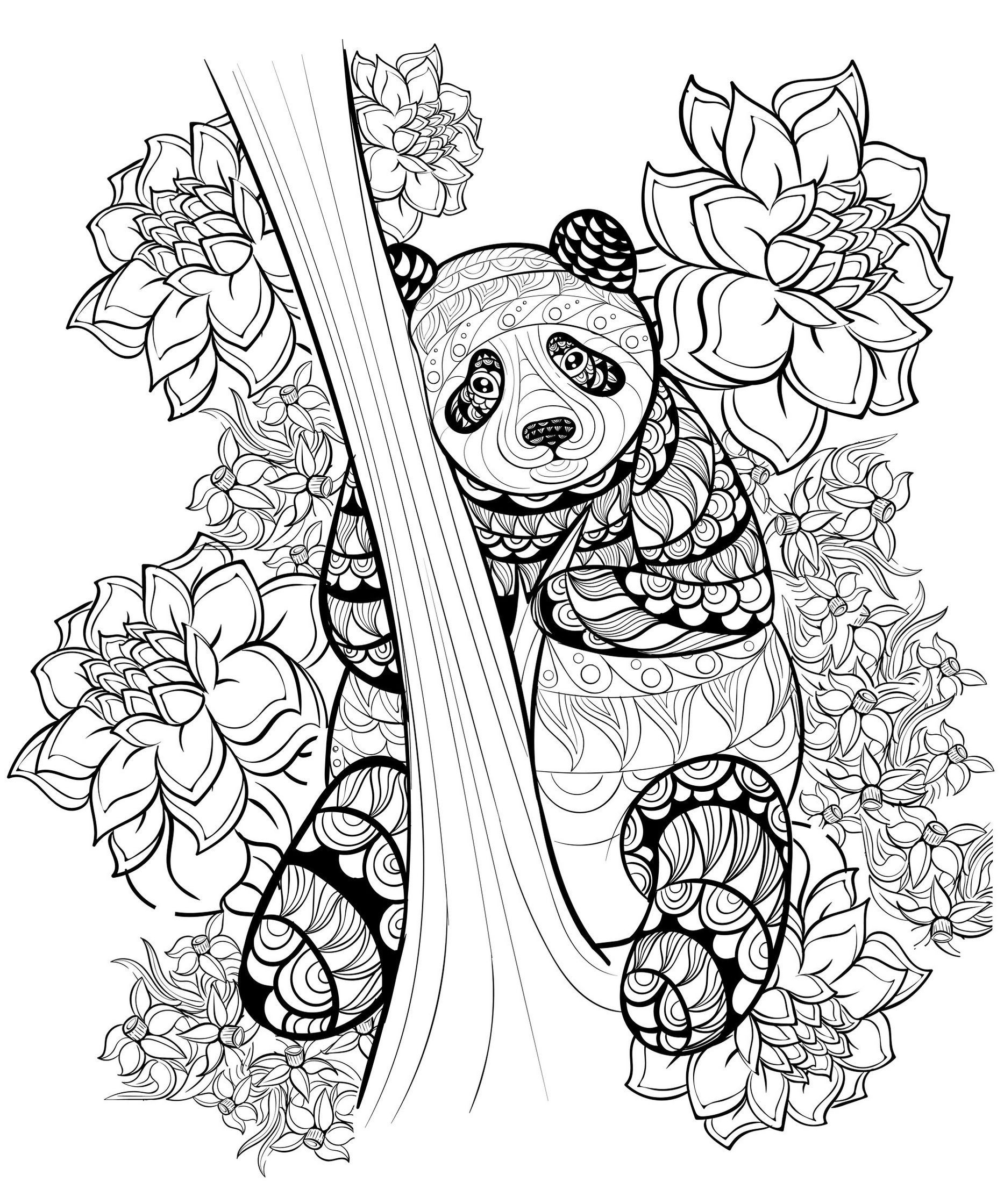 1867x2240 Beautiful Zentangle Panda Coloring Sheet Printable Coloring Free
