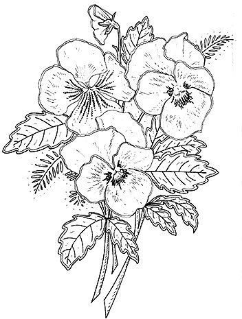 352x465 Ghfjhj Wyszywam .wzory Pyrography, Adult