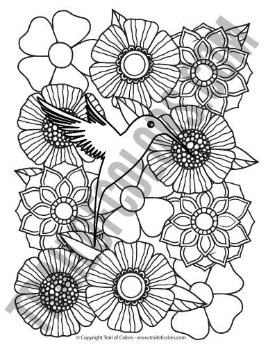 Pansy Flower Coloring Page