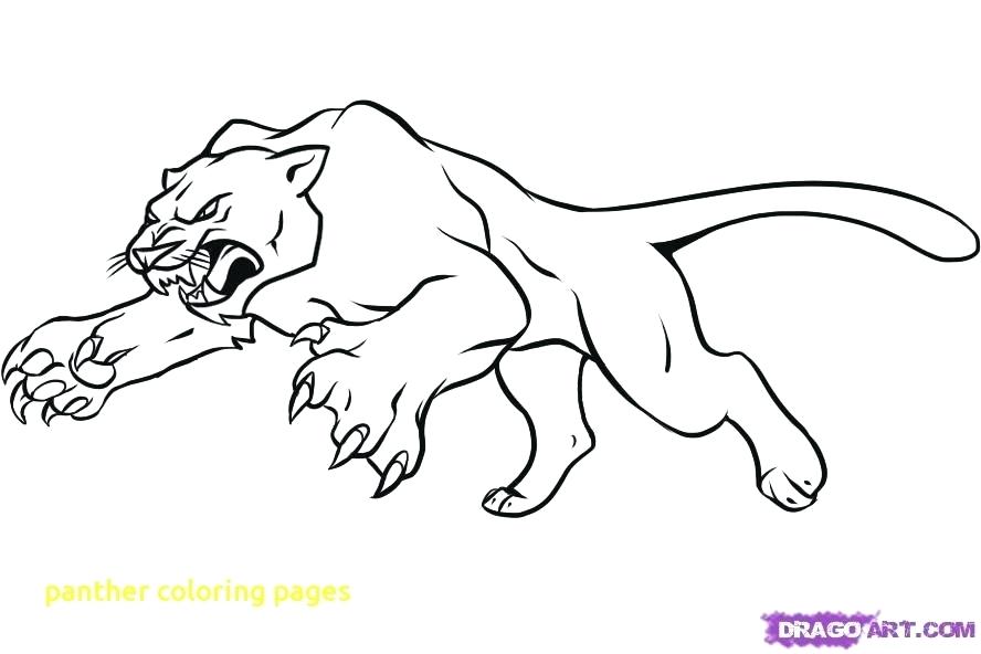 888x592 Panther Coloring Pages Panther Coloring Pages With Great Panther