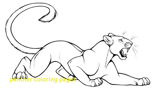 648x387 Panther Coloring Pages With Panther Coloring Pages Black Panther