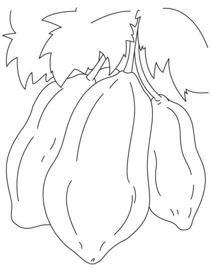 420x542 Papaya Coloring Page Download Free Papaya Coloring Page For Kids