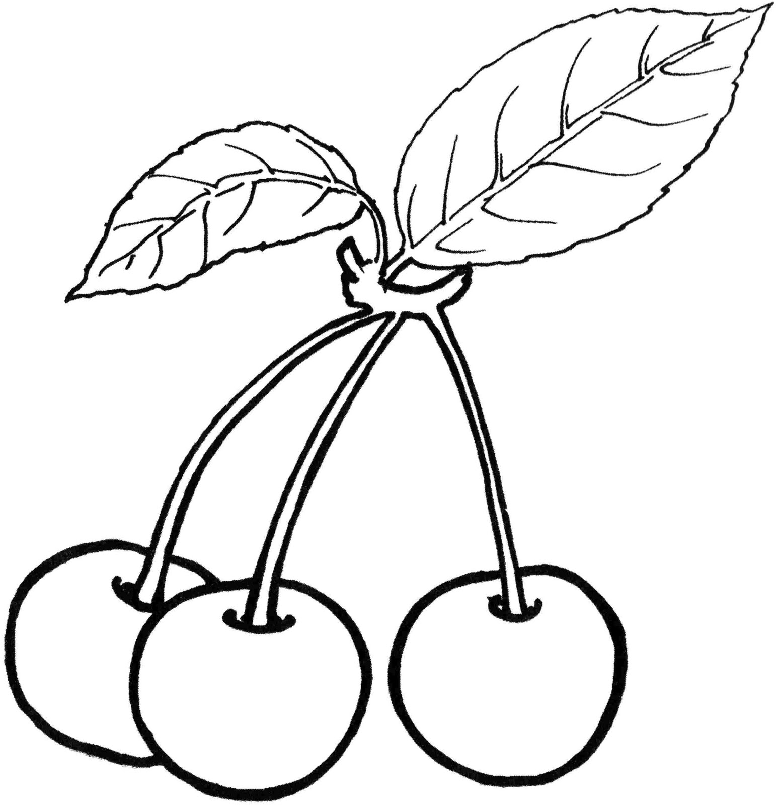 Papaya Tree Coloring Pages at GetColorings.com | Free printable ...