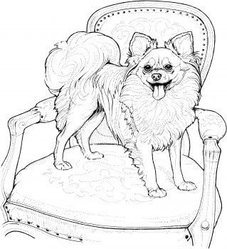 319x350 172 Best Dog Coloring Images On Coloring Books