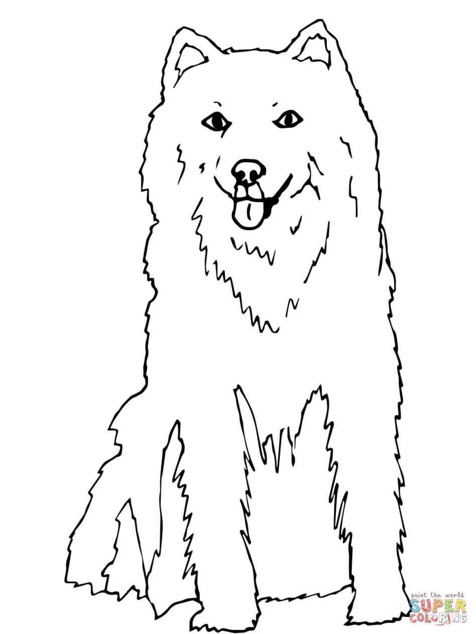 948x1264 Husky Dog Coloring Sheets Online Coloring Printable