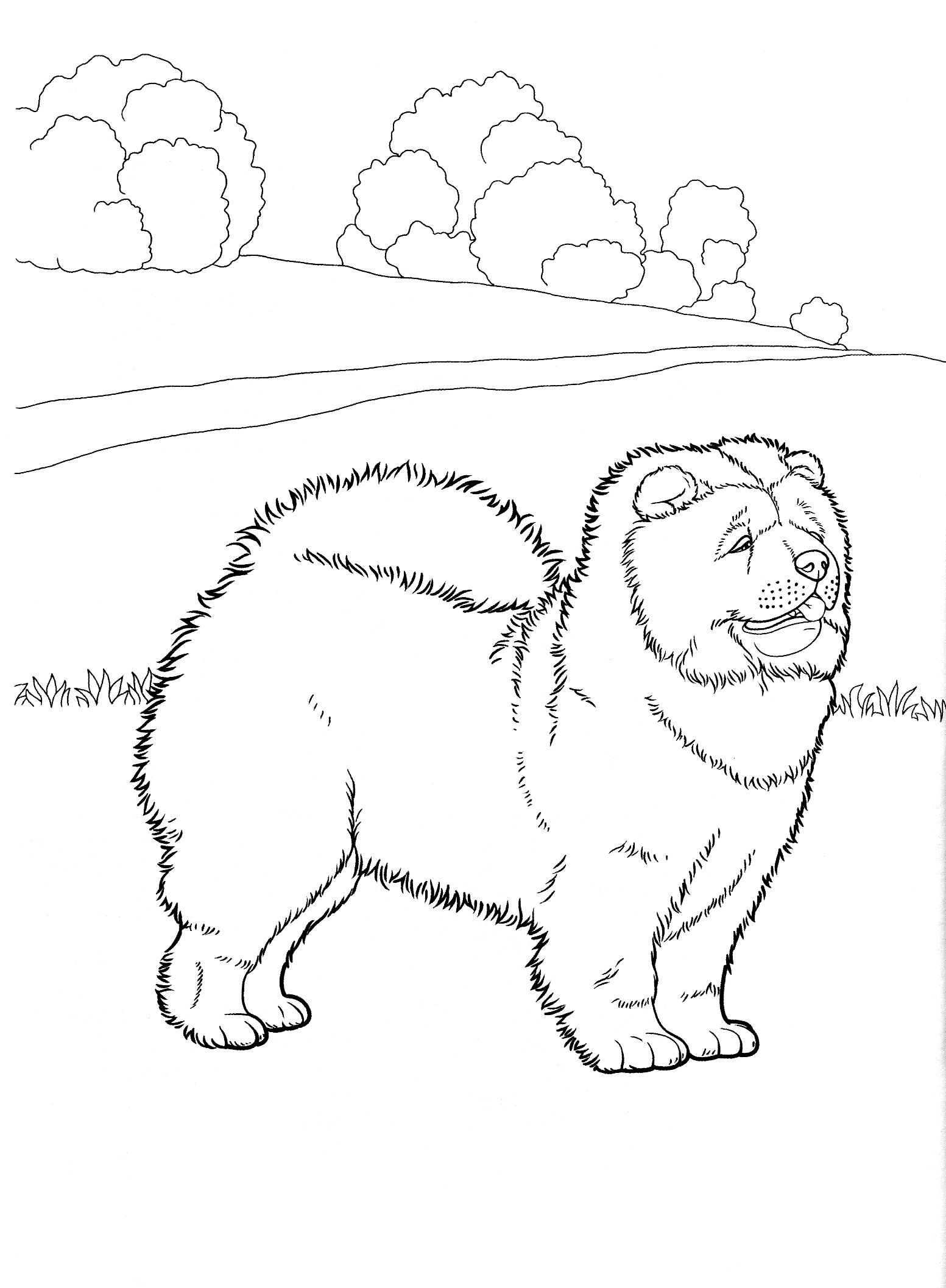 1553x2114 Dog Coloring Pages 3 Teenagers Coloring Pages Woodburning Ideas