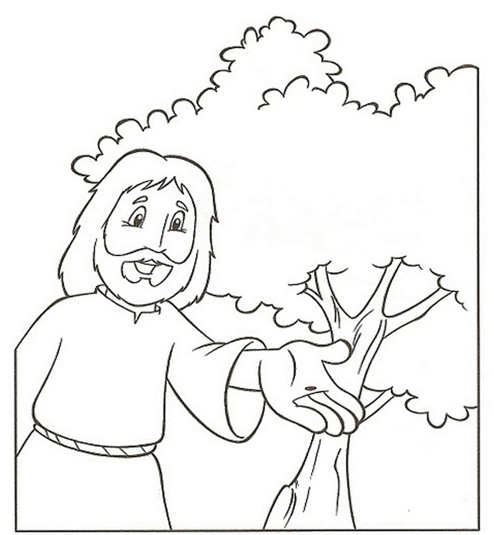 1001x1085 Delighted Mustard Seed Coloring Page Jpg