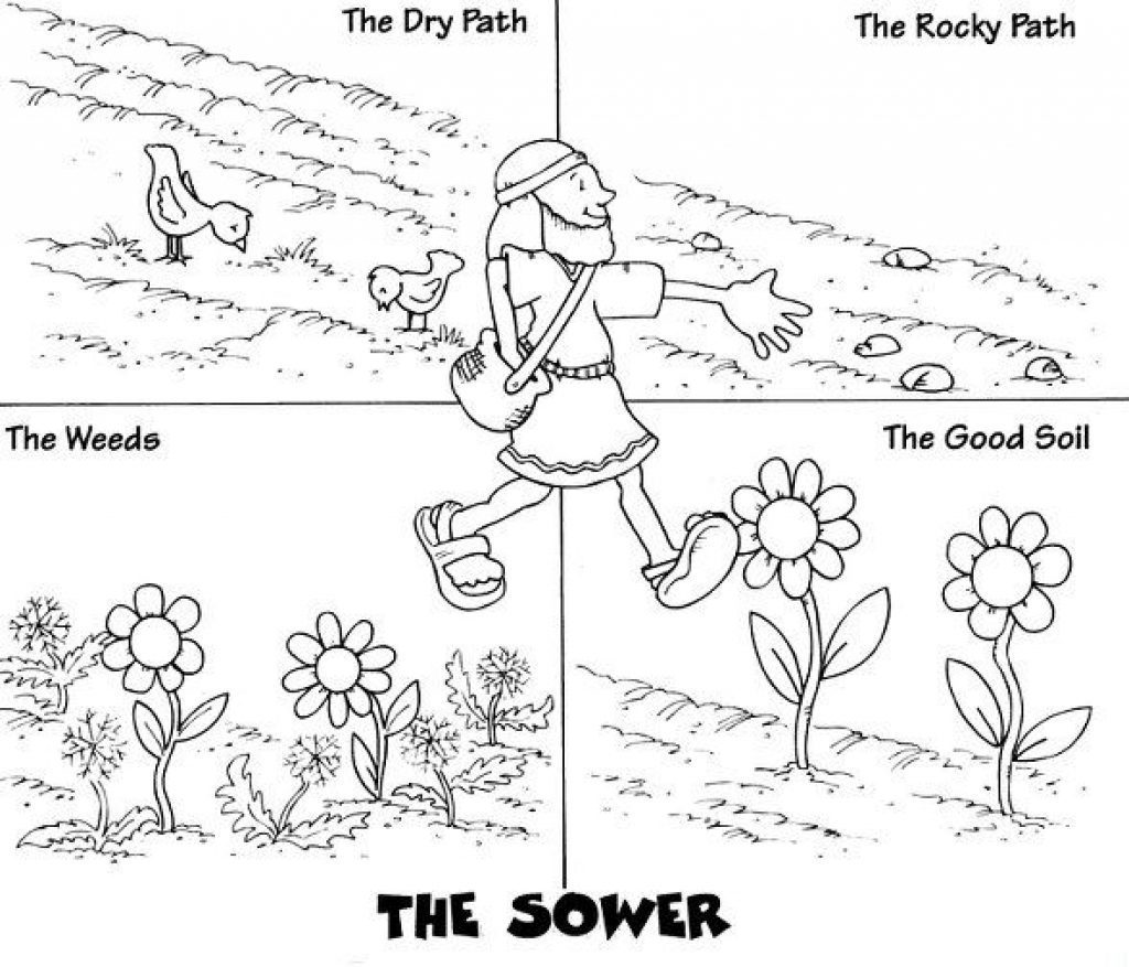 1024x877 Parable Of The Sower Coloring Page