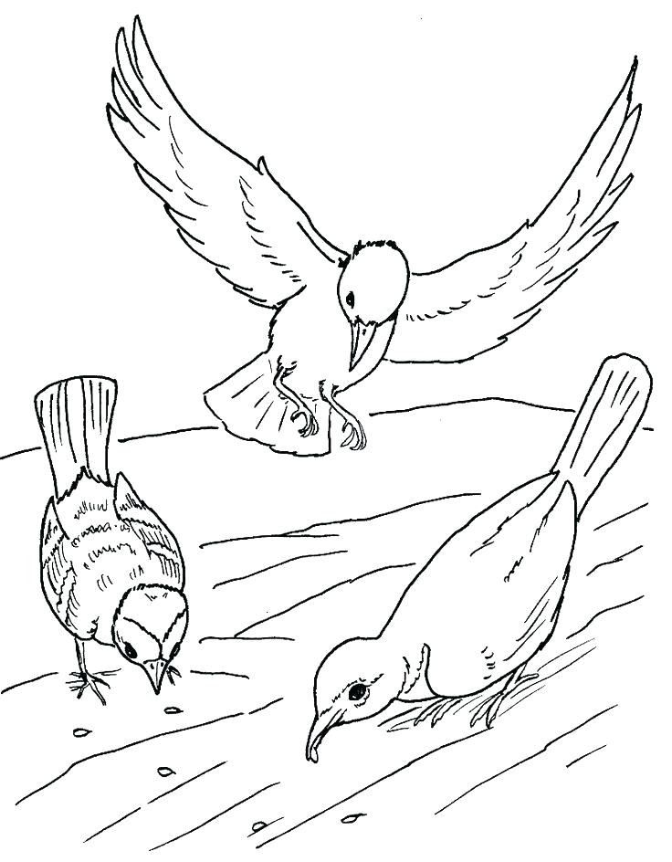 736x944 Parables Of Jesus Coloring Pages Prodigal Son Coloring Page Sower