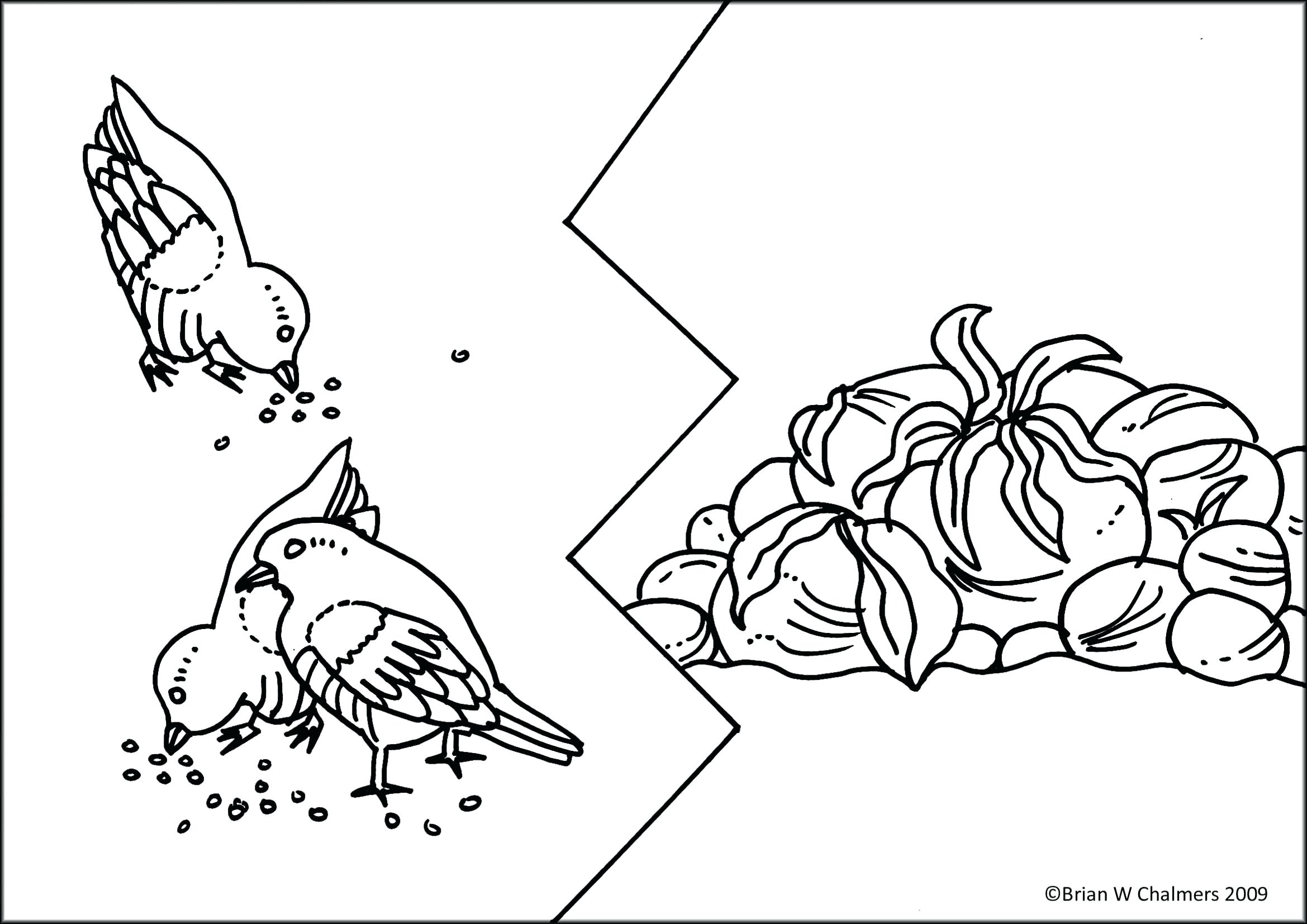 2339x1654 Coloring Pages Christmas For Adults Good Page Bible Depiction