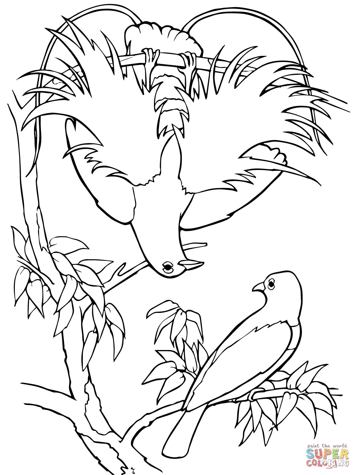 Terrific Bird Of Paradise Coloring Page Blue Super Rainforest 1200x1600 Terrific Bird Of Paradise Coloring Page Blue Super Rainforest
