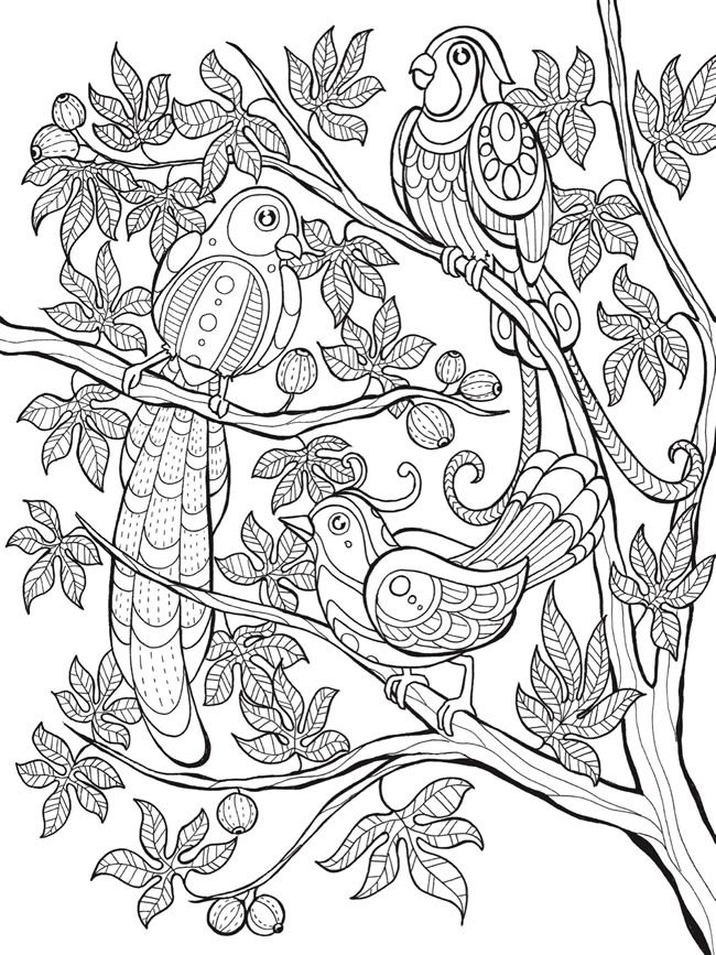 Welcome To Dover Publications Keep Calm And Color 650x867 Welcome To Dover Publications Keep Calm And Color