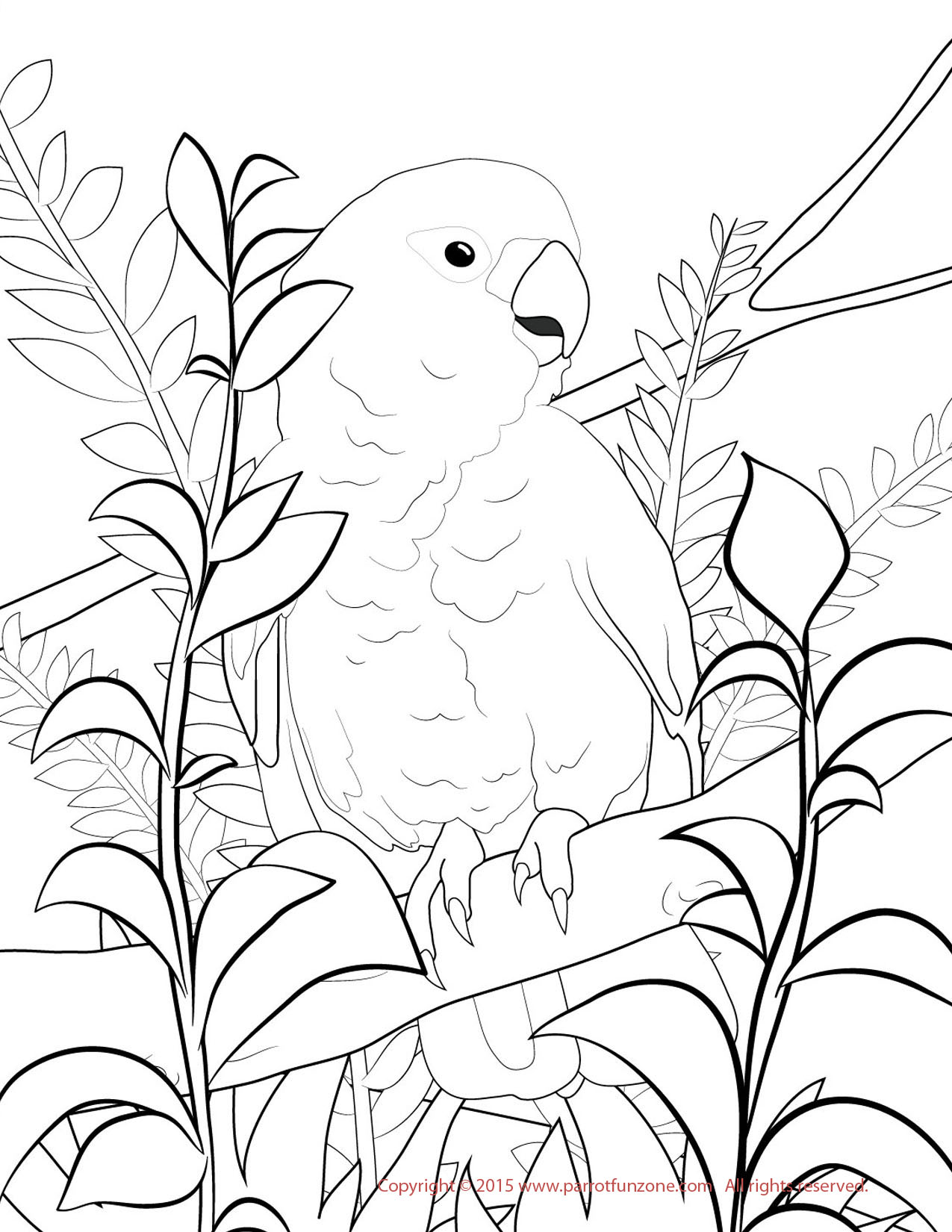 1275x1650 Coloring Pages