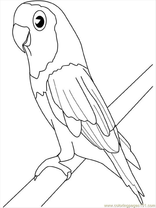 650x866 Parakeet Coloring Page