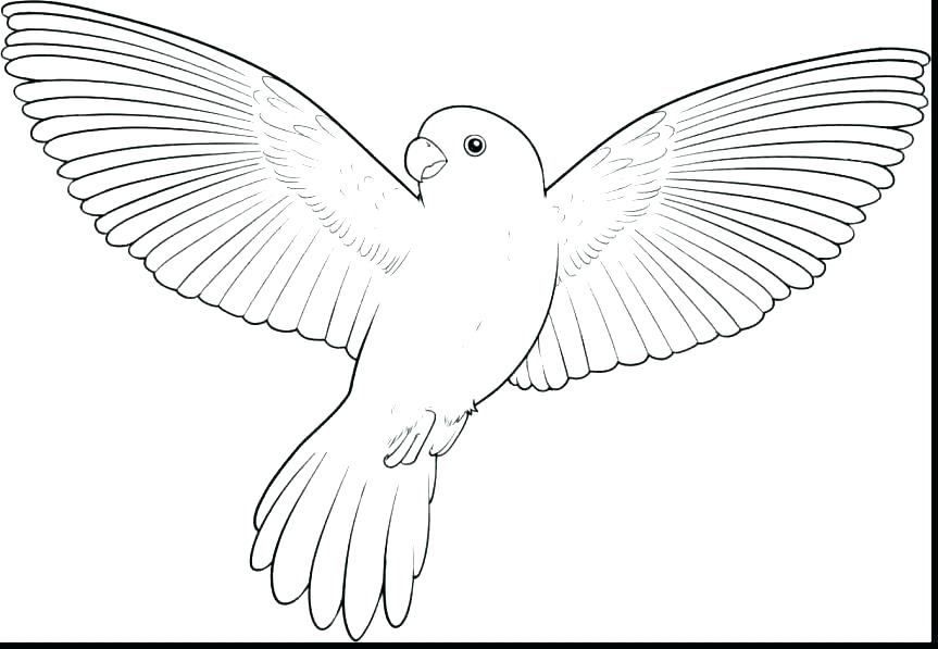 Coloring Page Bird Cool Design Ideas Pigeon Coloring Pages Flying 863x597 Coloring Page Bird Cool Design Ideas Pigeon Coloring Pages Flying