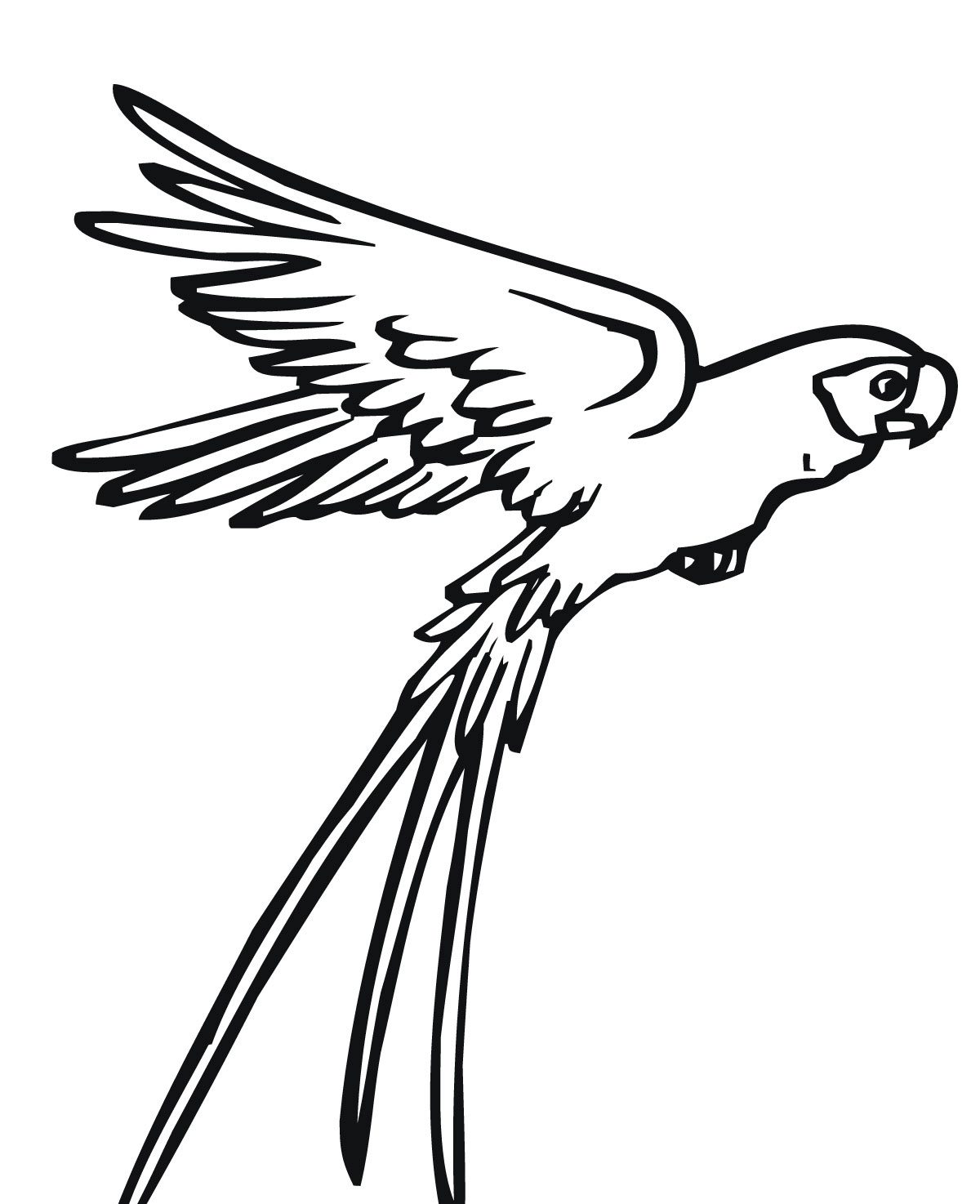 Flying Parrot Bird Coloring Page Animal Coloring Pages 1200x1474 Flying Parrot Bird Coloring Page Animal Coloring Pages