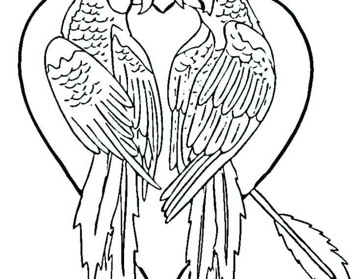 Parrot Coloring Pages Birds Coloring Pictures Parrot Coloring 728x569 Parrot Coloring Pages Birds Coloring Pictures Parrot Coloring