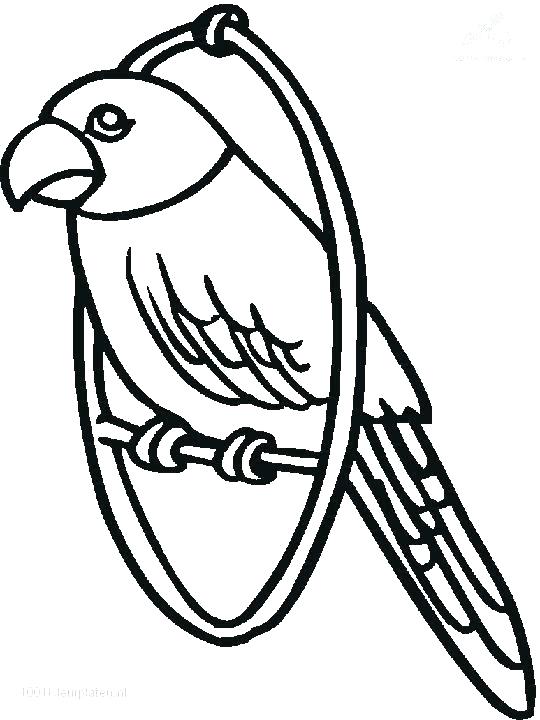 Parrot Coloring Pages Top Parrot Coloring Page Print Coloring 540x720 Parrot Coloring Pages Top Parrot Coloring Page Print Coloring