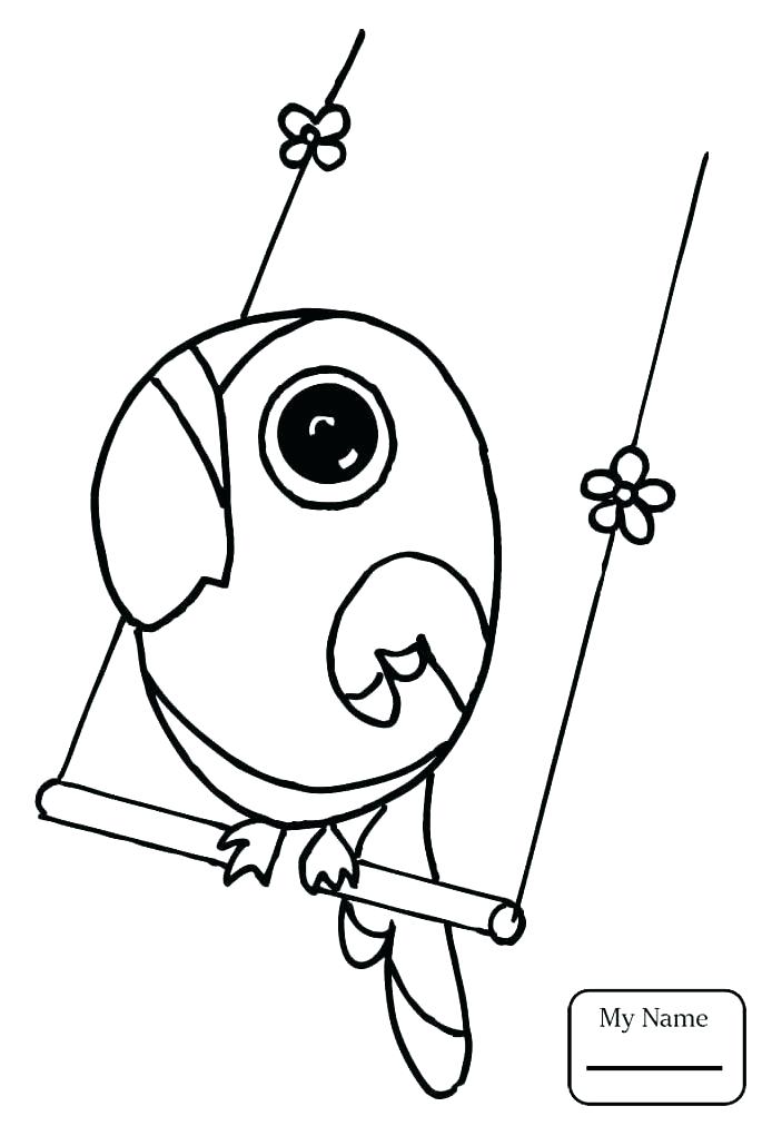 Coloring Parrots Coloring Pages Bird Free And Of Parrot Birds 685x1012 Coloring Parrots Coloring Pages Bird Free And Of Parrot Birds