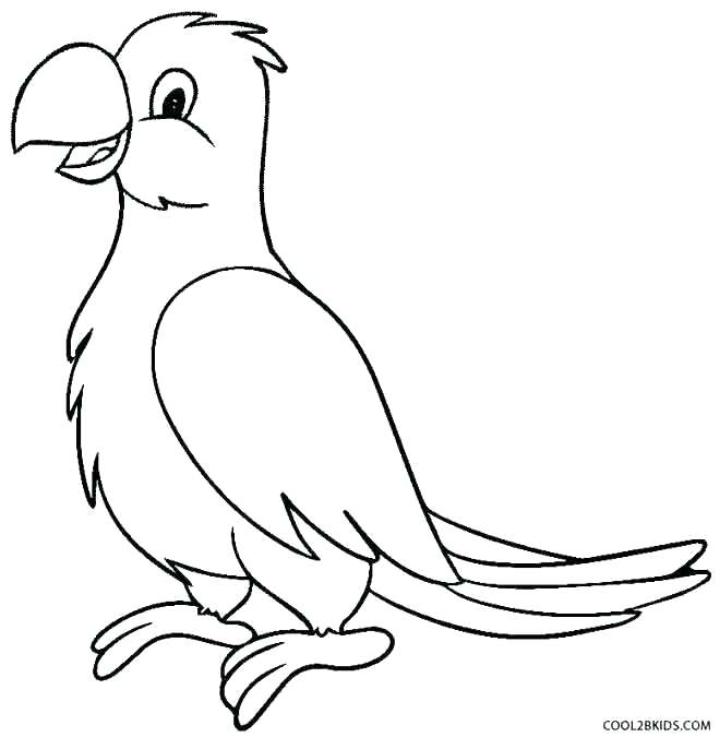 Baby Parrot Coloring Pages Parrot Coloring Pages Parrot Coloring 660x675 Baby Parrot Coloring Pages Parrot Coloring Pages Parrot Coloring