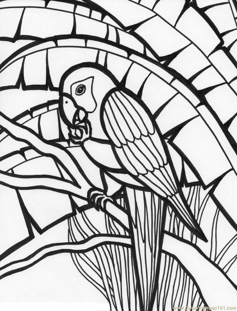 800x1049 Parrot Coloring Page