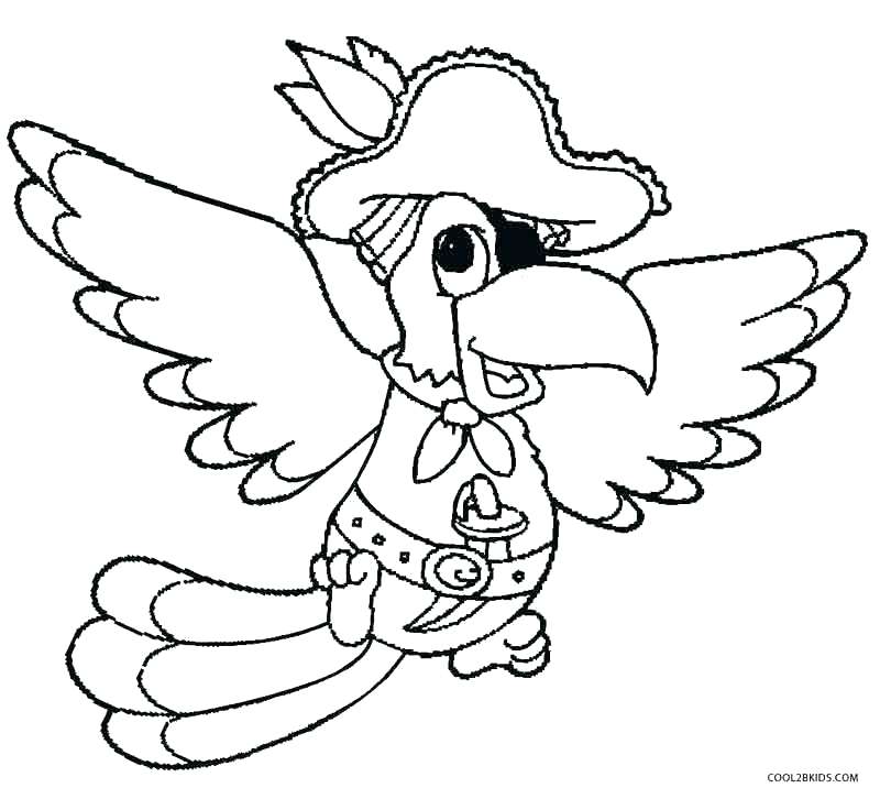 800x726 Parrot Coloring Pages Parrot Coloring Page Parrot Coloring Pages