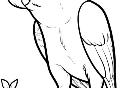 469x304 Parrot Coloring Pages Just Colorings