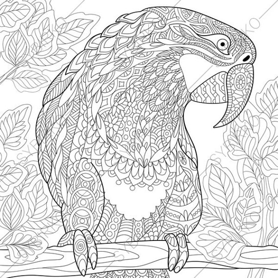 Macaw Parrot. Coloring Pages. Animal Coloring Book Pages 570x570 Macaw Parrot. Coloring Pages. Animal Coloring Book Pages