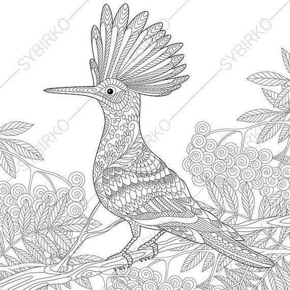 Parrot Coloring Pages Free Coloring Pages 570x570 Parrot Coloring Pages Free Coloring Pages