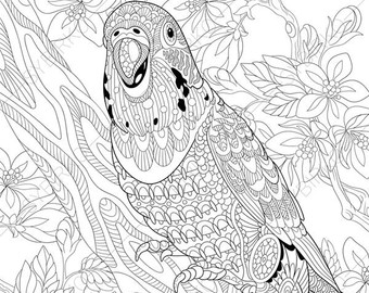 Parrot Colouring Etsy 340x270 Parrot Colouring Etsy