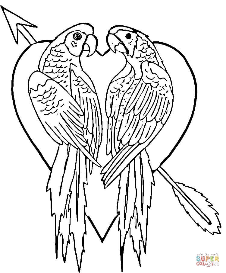 Parrot Coloring Page Parrots Coloring Pages Free Coloring Pages 750x904 Parrot Coloring Page Parrots Coloring Pages Free Coloring Pages
