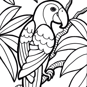 360x360 Marvellous Design Parrot Coloring Pages Printable For Preschoolers