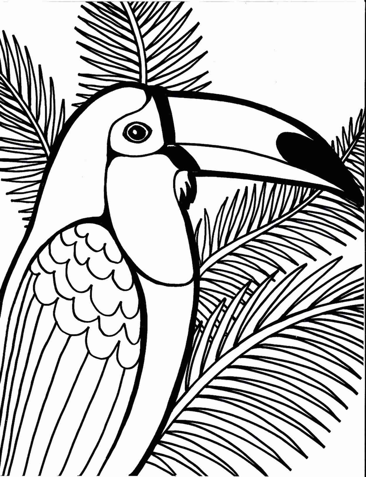 1250x1629 Amazing Parrot Colouring Pages Free Printable