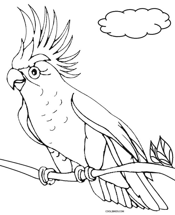 668x819 Parrot Coloring Pages Printable Parrot Coloring Pages For Kids