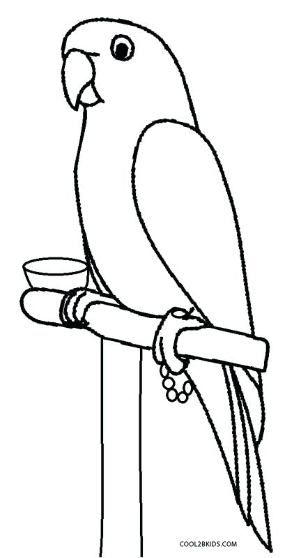 432x800 Parrot Coloring Pictures Baby Parrot Coloring Pages Coloring Pages