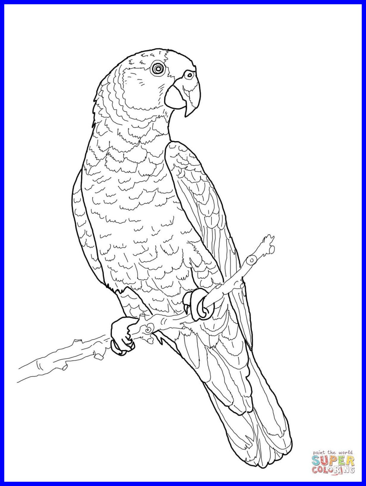 1228x1628 Shocking Imperial Parrot Coloring Page Printable Picture Of Blue