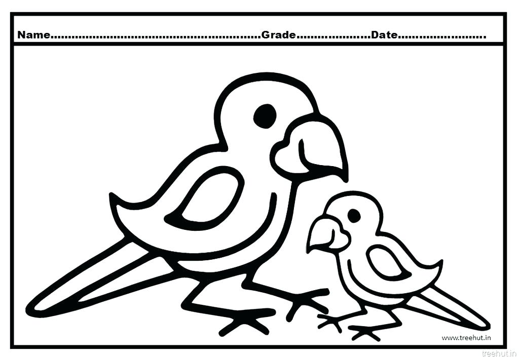 1024x709 Flying Parrot Coloring Pages Sheets Impressive Best Awesome Page