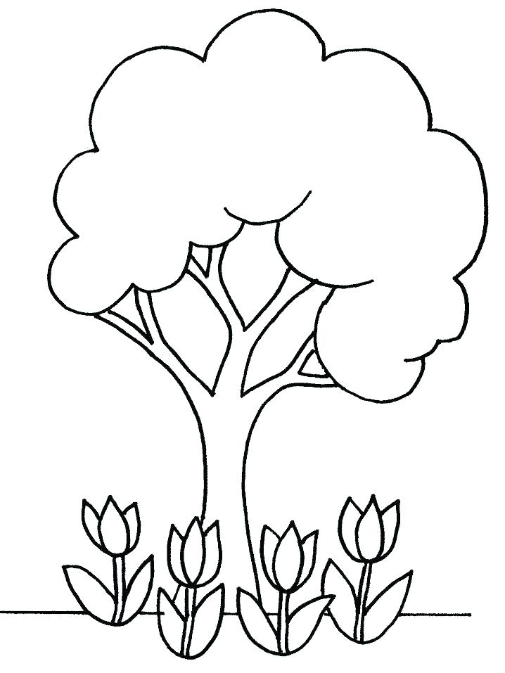Parts Of A Plant Coloring Pages For Kids Coloring Pages