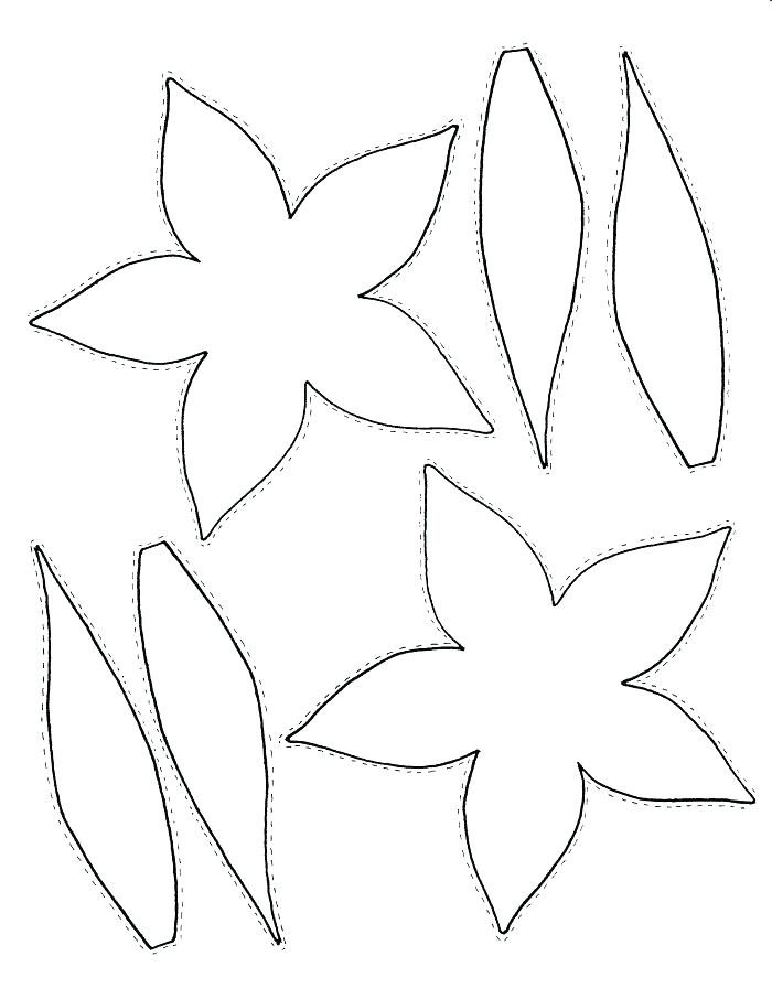 Parts Of A Plant Coloring Page at GetColorings.com | Free printable ...