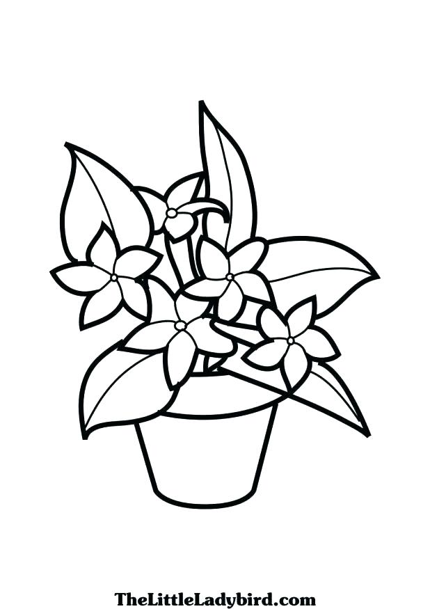 618x875 Coloring Pages Plants Coloring Pages Plants Large Size Of Coloring
