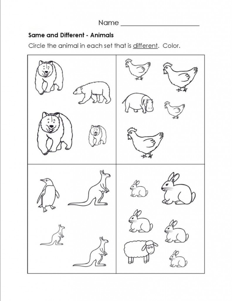 791x1024 Worksheet. Parts Of A Flower Kindergarten Worksheet. Lindacoppens
