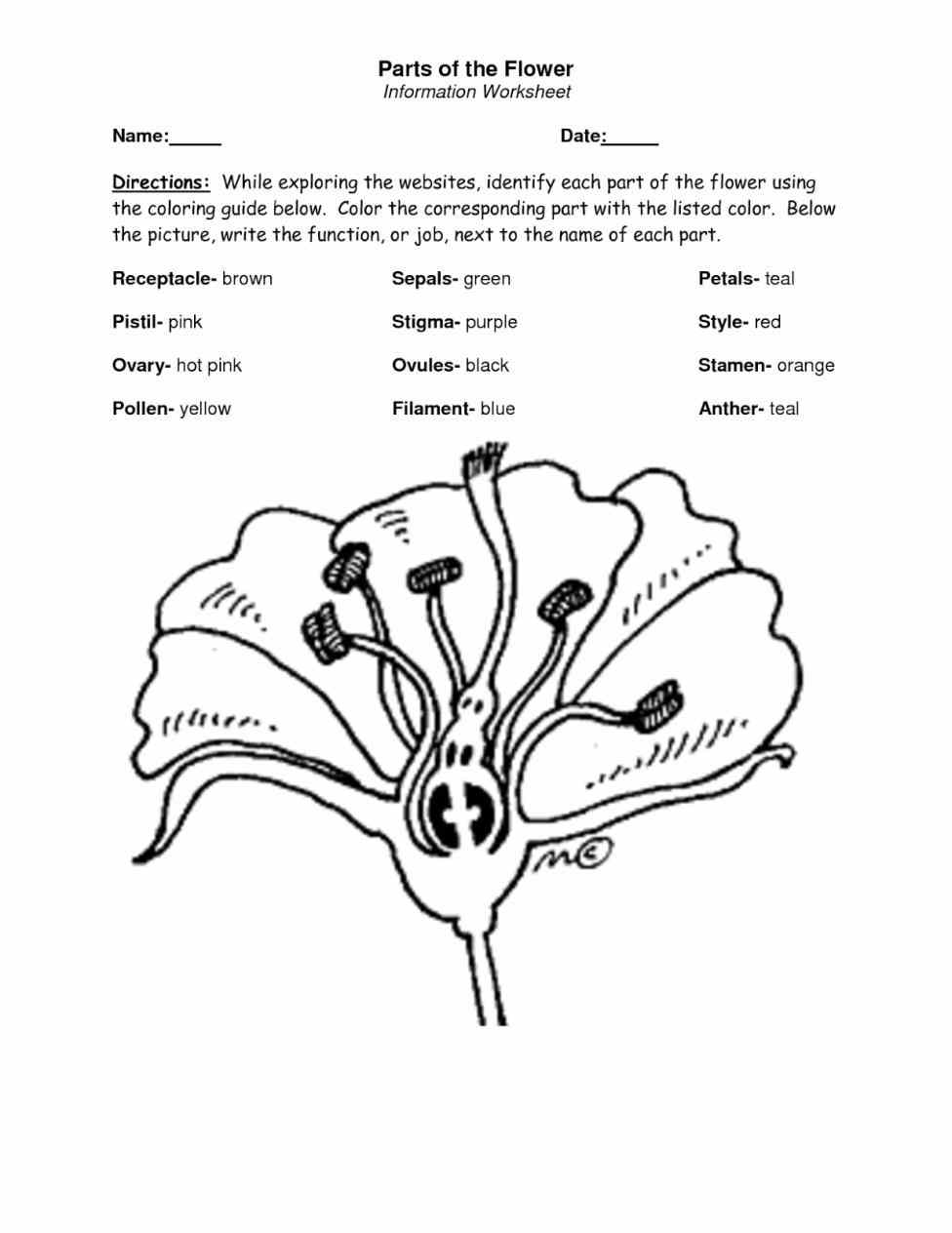 976x1264 Hipoints Awesome Awesome Plants And Flowers Coloring Pages Parts
