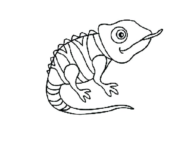 Chameleon Coloring Pages Chameleon Coloring Pages Pascal 600x535 Chameleon Coloring Pages Chameleon Coloring Pages Pascal