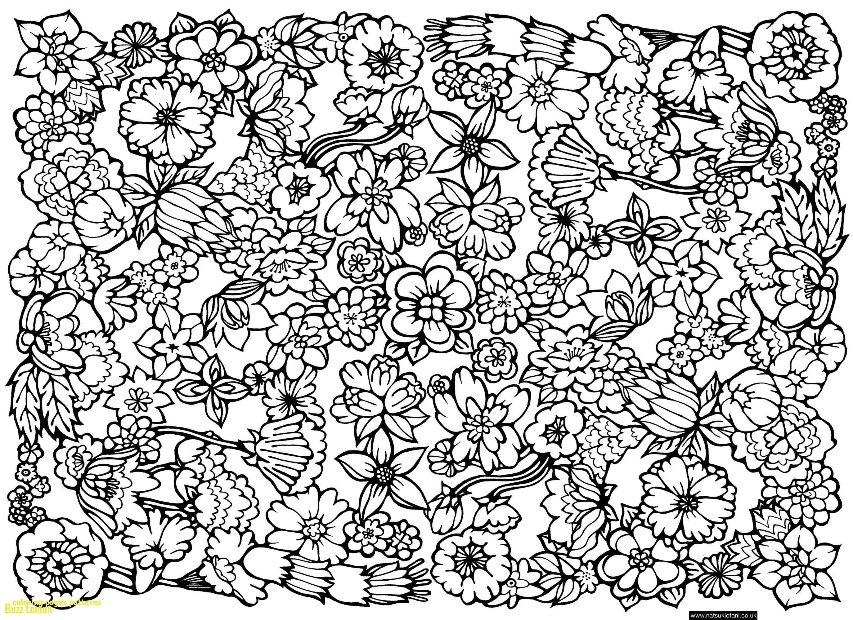2749x2000 Pattern Coloring Pages Best Of Coloring Pages Patterns