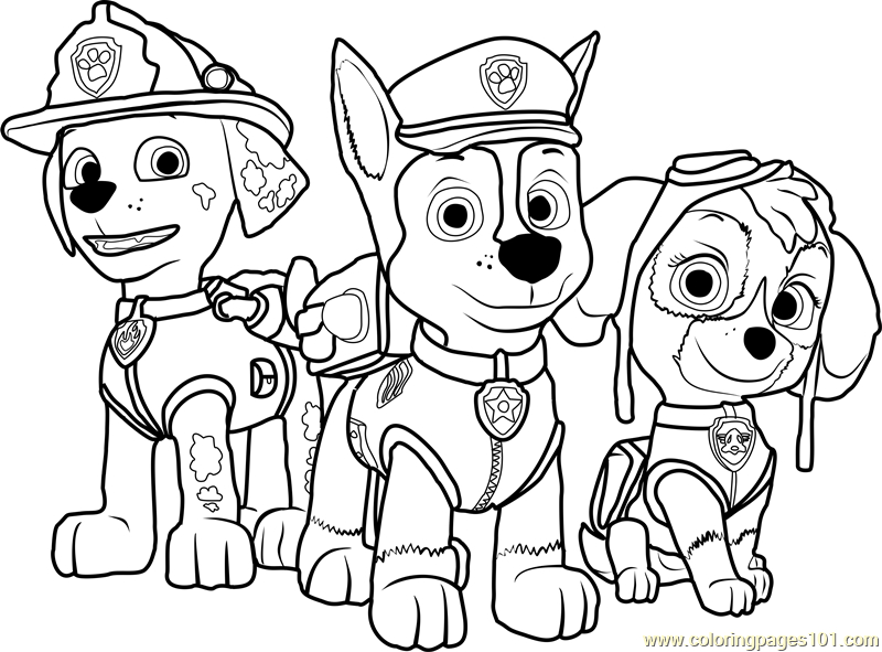 800x591 Free Paw Patrol Coloring Pages Paw Patrol Color Paw Patrol