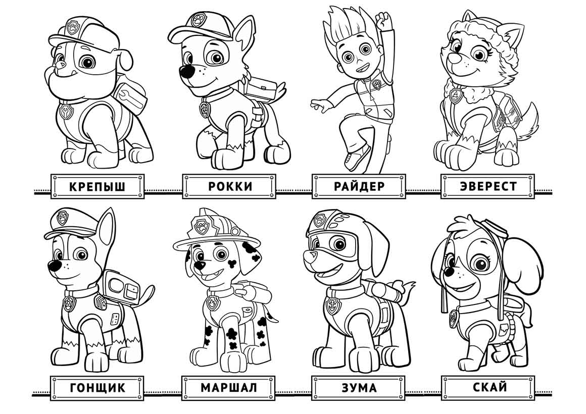 1160x820 Multfilmy Pow Patrol 01 On Chase Paw Coloring Page