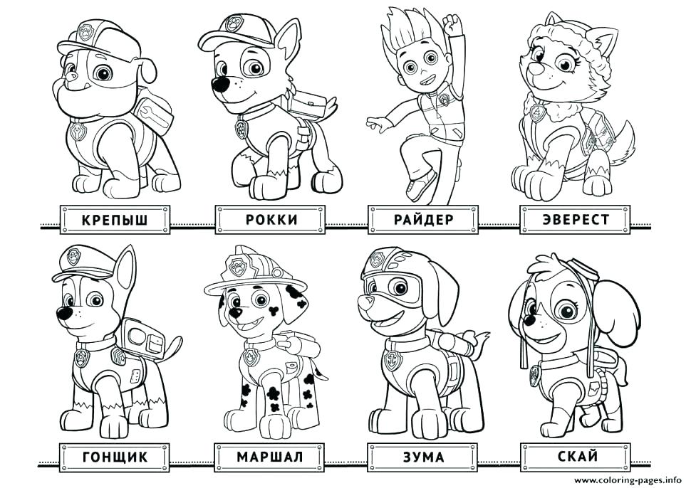 Paw Patrol Badge Printable 970x686 Paw Patrol Badge Printable
